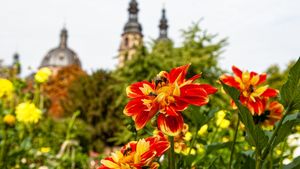 „Überraschend vielfältig!“: Unter diesem Motto bietet das Bistum Fulda im und rund um den Fuldaer Dom ein buntes und lebendiges Rahmenprogramm zur Landesgartenschau 2023. Foto (Archiv) Burkhard Beintken