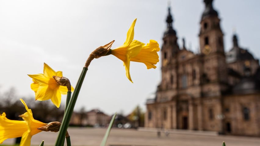 Rund um den Dom soll es auch zur Landesgartenschau blühen und sprießen. Das Bistums Fulda will dabei auch versteckte Gärten öffnen und mit einem bunten Programm bespielen. Fotos (Archiv): Bistum Fulda / Burkhard Beintken