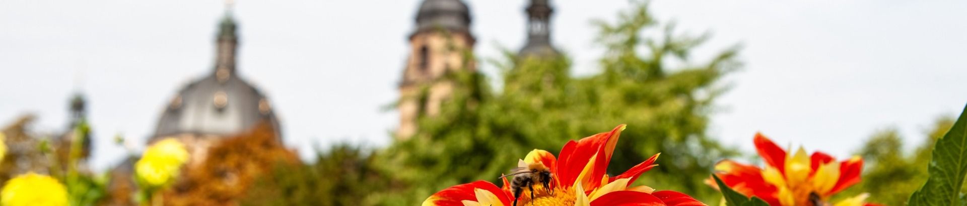 Bistum Fulda Startseite