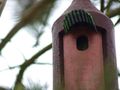 Nistmöglichkeiten im Garten des Bonifatiushauses   