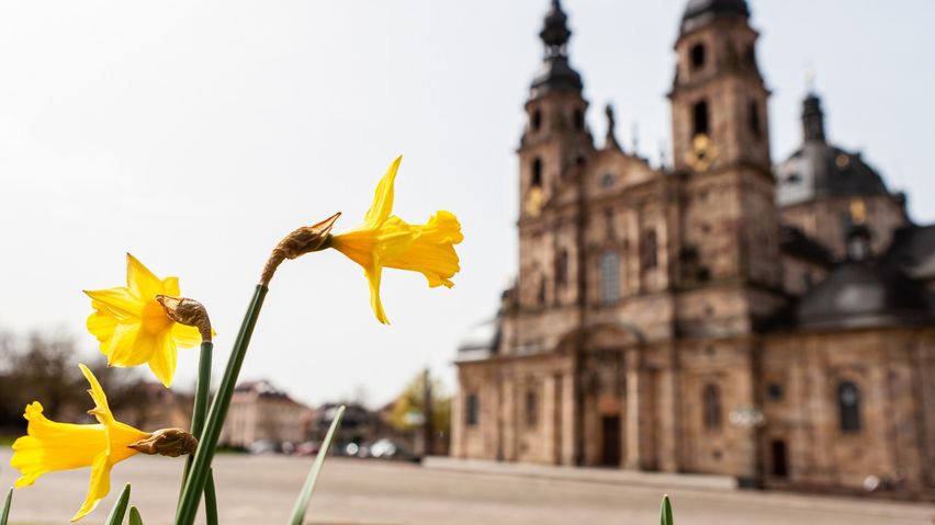 Karwoche und Ostern im Fuldaer Dom