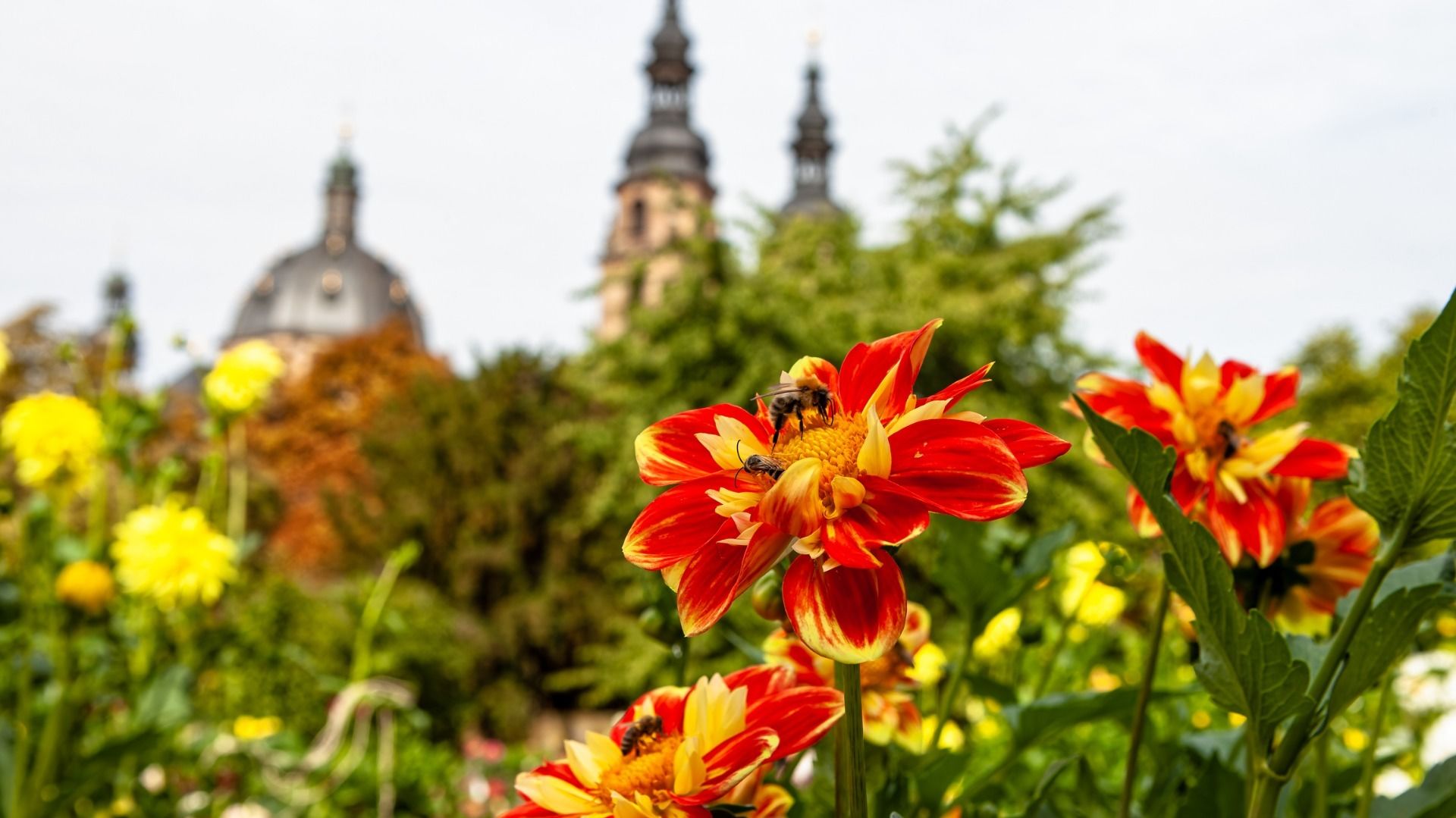 Zur Landesgartenschau bietet das Bistum Fulda ein buntes und lebendiges Rahmenprogramm rund um den Fuldaer Dom. Foto (Archiv): Bistum Fulda / Burkhard Beintken