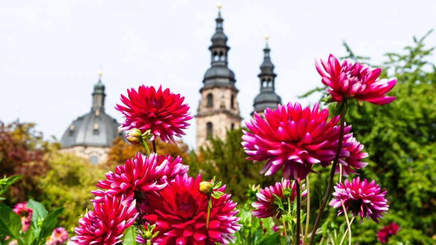 Bunt und lebendig verspricht das Rahmenprogramm des Bistums Fulda zur Landesgartenschau zu werden. Foto (Archiv): Bistum Fulda / 