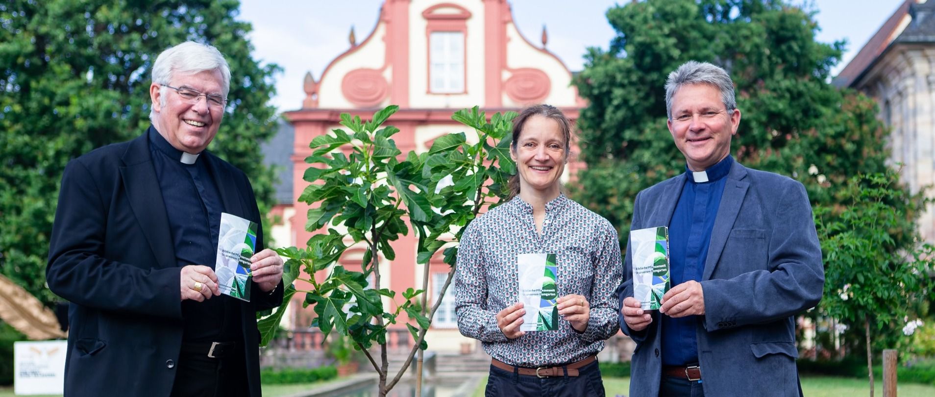 Biblische Pflanzenwelt im Domgarten