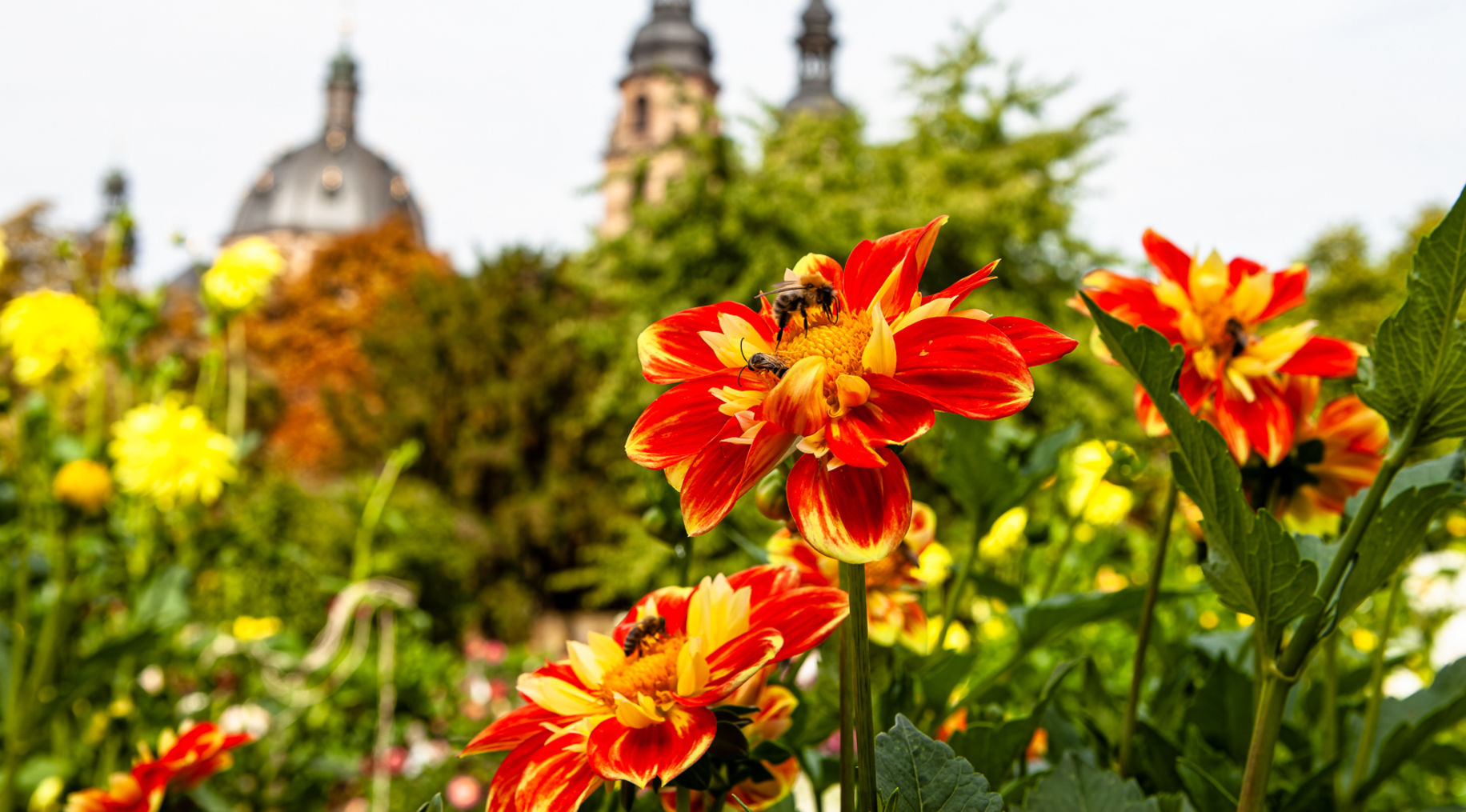 Rund um den Fuldaer Dom hat das Bistum Fulda zur Landesgartenschau ein buntes Rahmenprogramm auf die Beine gestellt. Foto (Archiv): Bistum Fulda / Burkhard Beintken