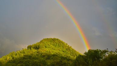 Schöpfungstag in Hessen und Rheinhessen. Bistum Fulda / Rethink 