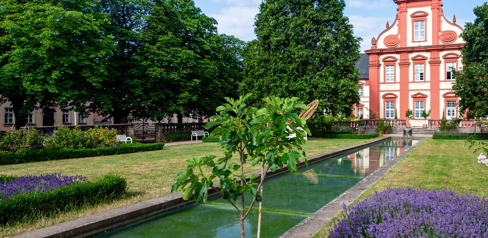 „Sommerfrische“ im Domgarten: Kräuter und Rosen im Fokus. Foto (Archiv): Bistum Fulda / Burkhard Beintken
