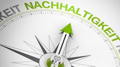 Mit einem neuen Nachhaltigkeitspreis zeichnet das Bistum Fulda Projekte aus, die sich in besonderer Weise für die Bewahrung der Schöpfung einsetzen. Gemeinden, Gruppen, Verbände, Einrichtungen und Initiativen sind eingeladen, ihre Ideen und Aktivitäten bis zum 31. Oktober 2025 einzureichen. 