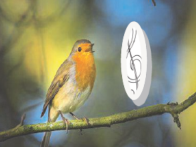 Heilsames Singen